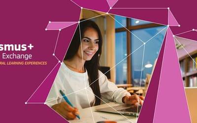 Immagine: Erasmus+ Virtual Exchange (1)
