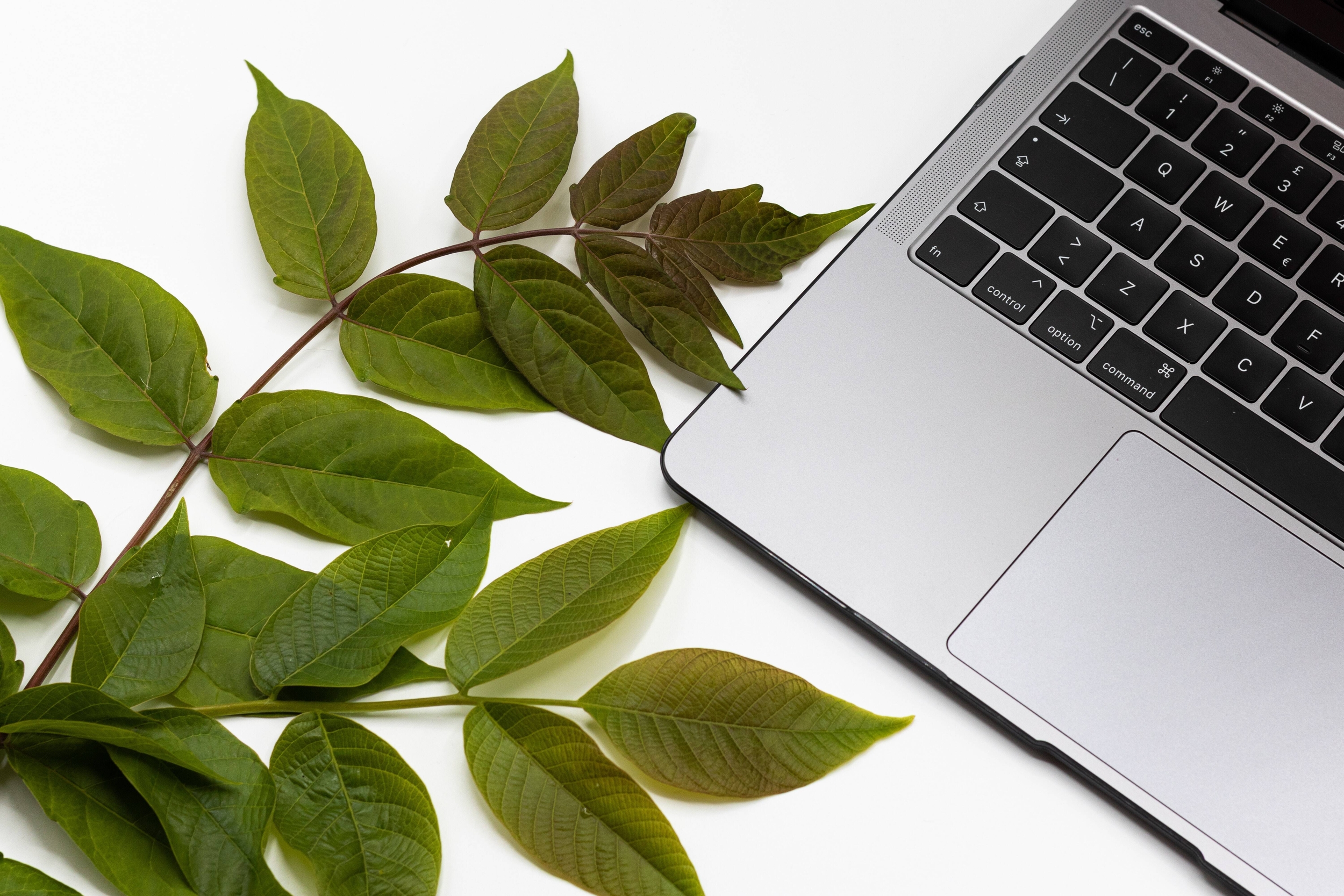 Immagine: ergita-sela-UHLJULGZFNs-unsplash
