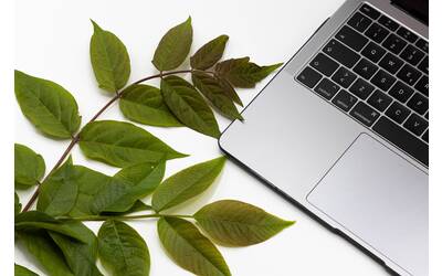 Immagine: ergita-sela-UHLJULGZFNs-unsplash