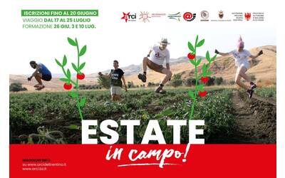 Immagine: estate in campo