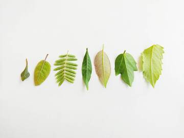 Corso di formazione per progettare eventi green inizia on line!