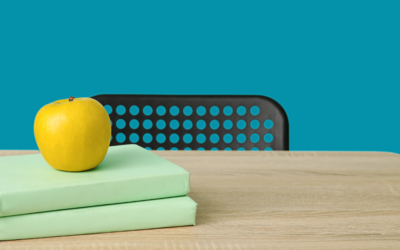 Immagine: formazione