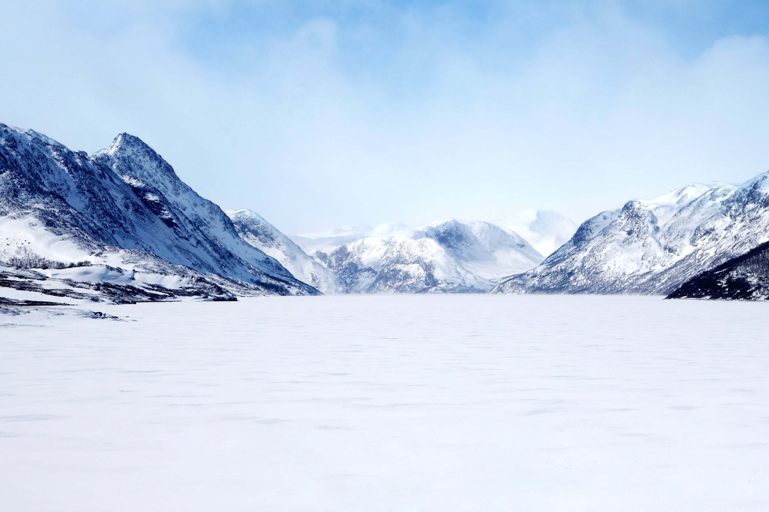 Immagine: francesca-hotchin-FN-cedy6NHA-unsplash
