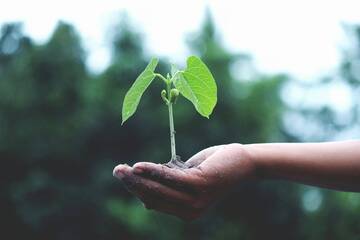 Progetto Volontariato Estivo - Associazione Estuario
