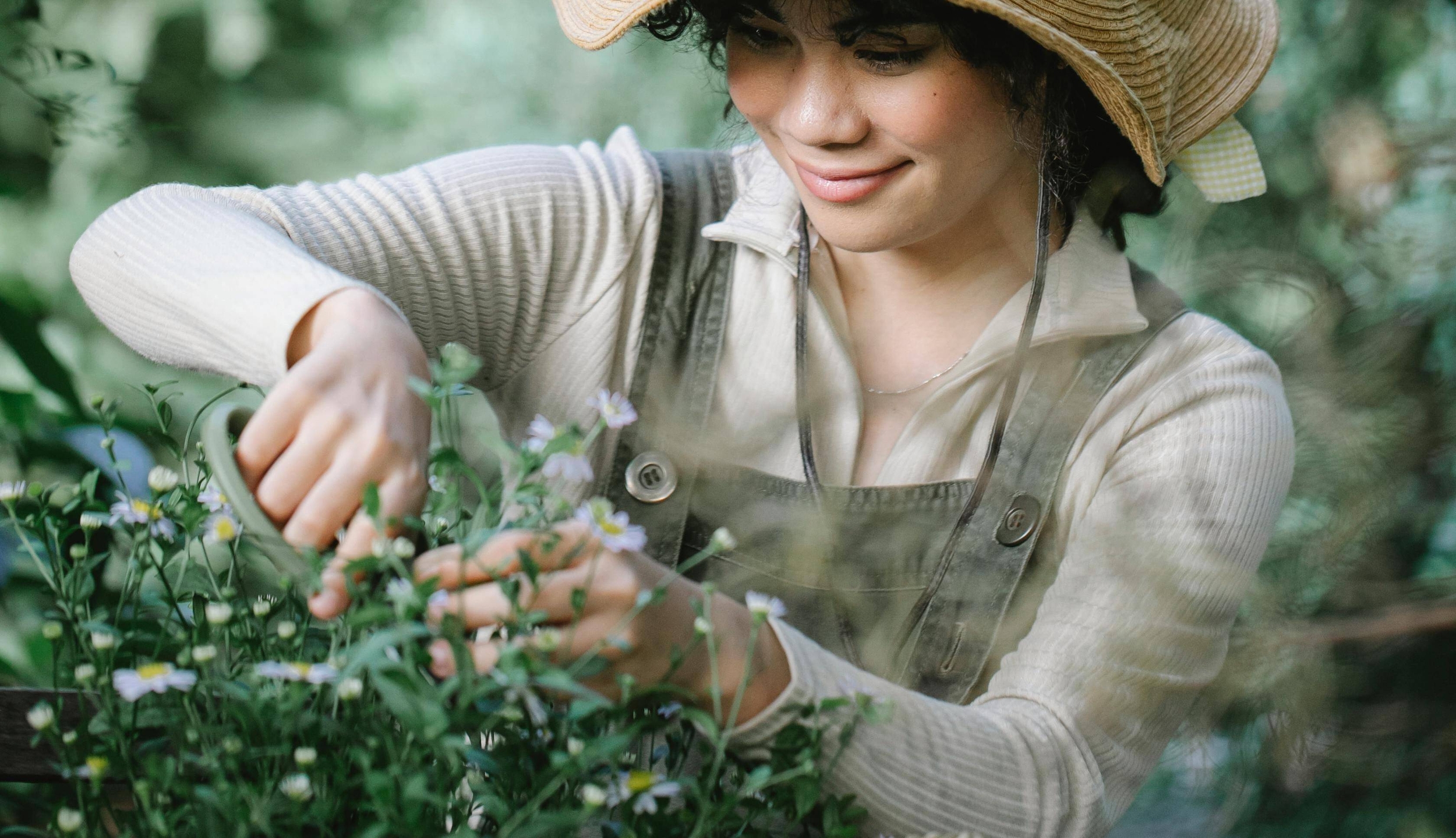 Immagine: giardinaggio