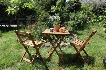 Immagine: Giardino