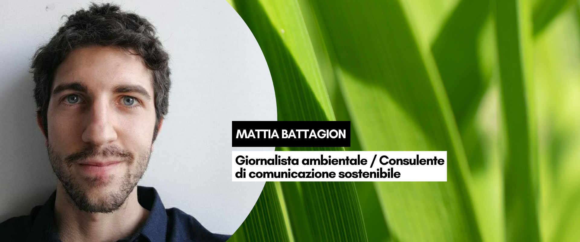 Immagine: grafiche per sito (13)