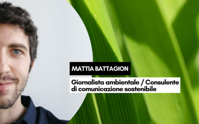 Immagine: grafiche per sito (13)