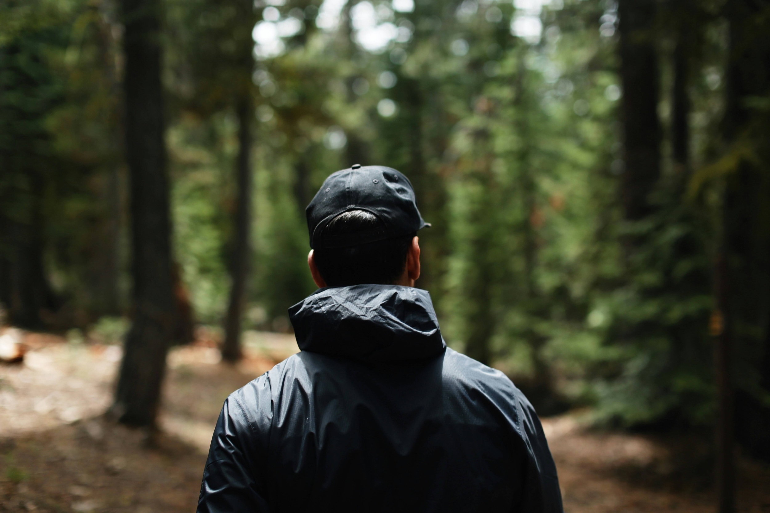 Immagine: green