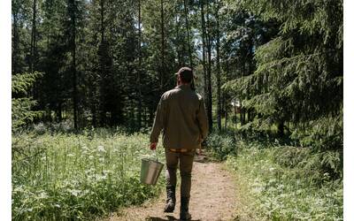 Immagine: Guardia forestale