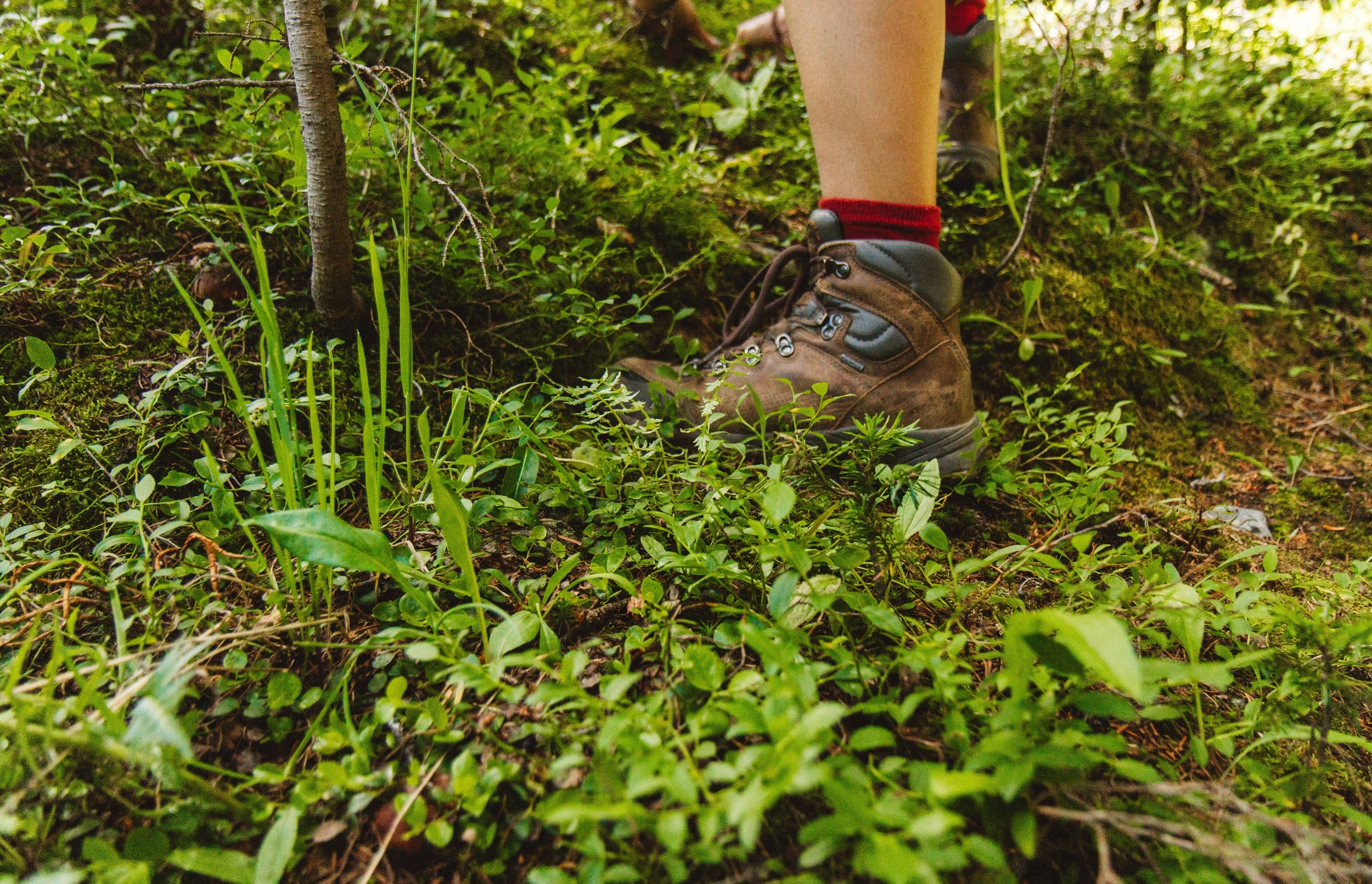 Immagine: holly-mandarich-JkFL_aJEnoU-unsplash