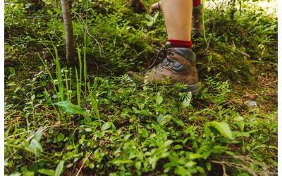 Immagine: holly-mandarich-JkFL_aJEnoU-unsplash