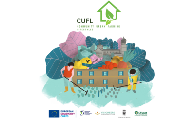 Immagine: Immagine CUFL 