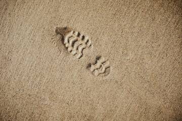 Immagine: impronta