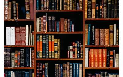 Immagine: informazioni