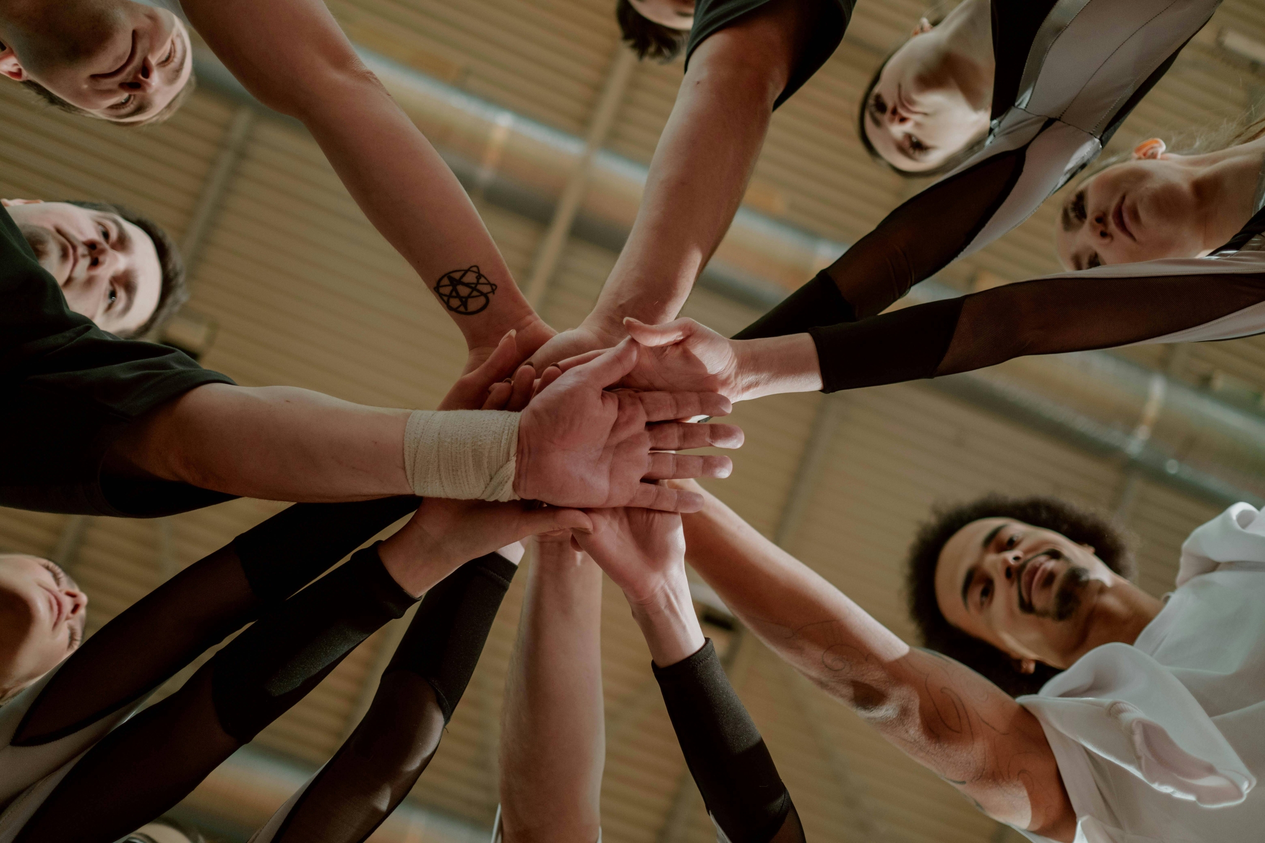 Immagine: Insieme 