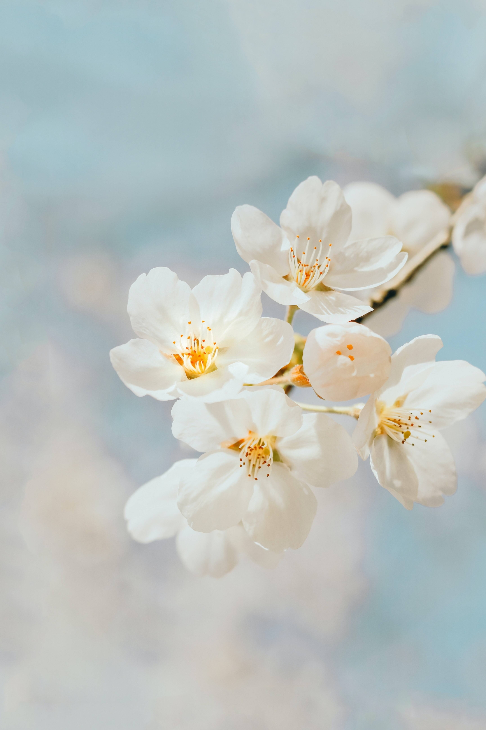 Immagine: j-lee-yRXuXvy4sQ4-unsplash