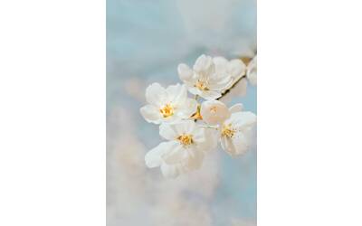 Immagine: j-lee-yRXuXvy4sQ4-unsplash