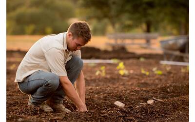 Immagine: jed-owen--unsplash