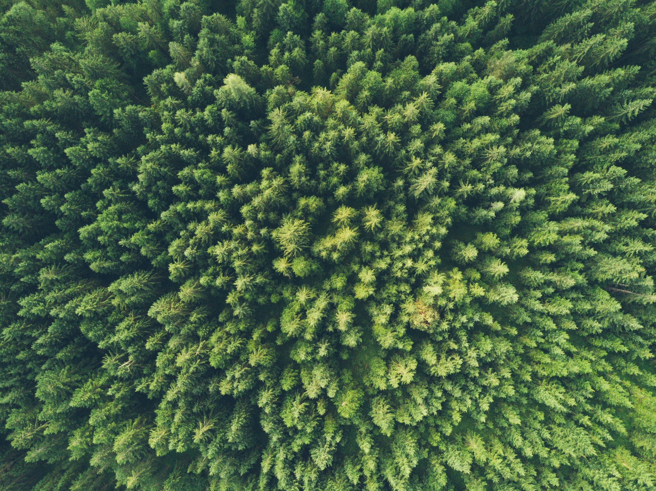 Immagine: john-o-nolan-uMWPrcRsrto-unsplash