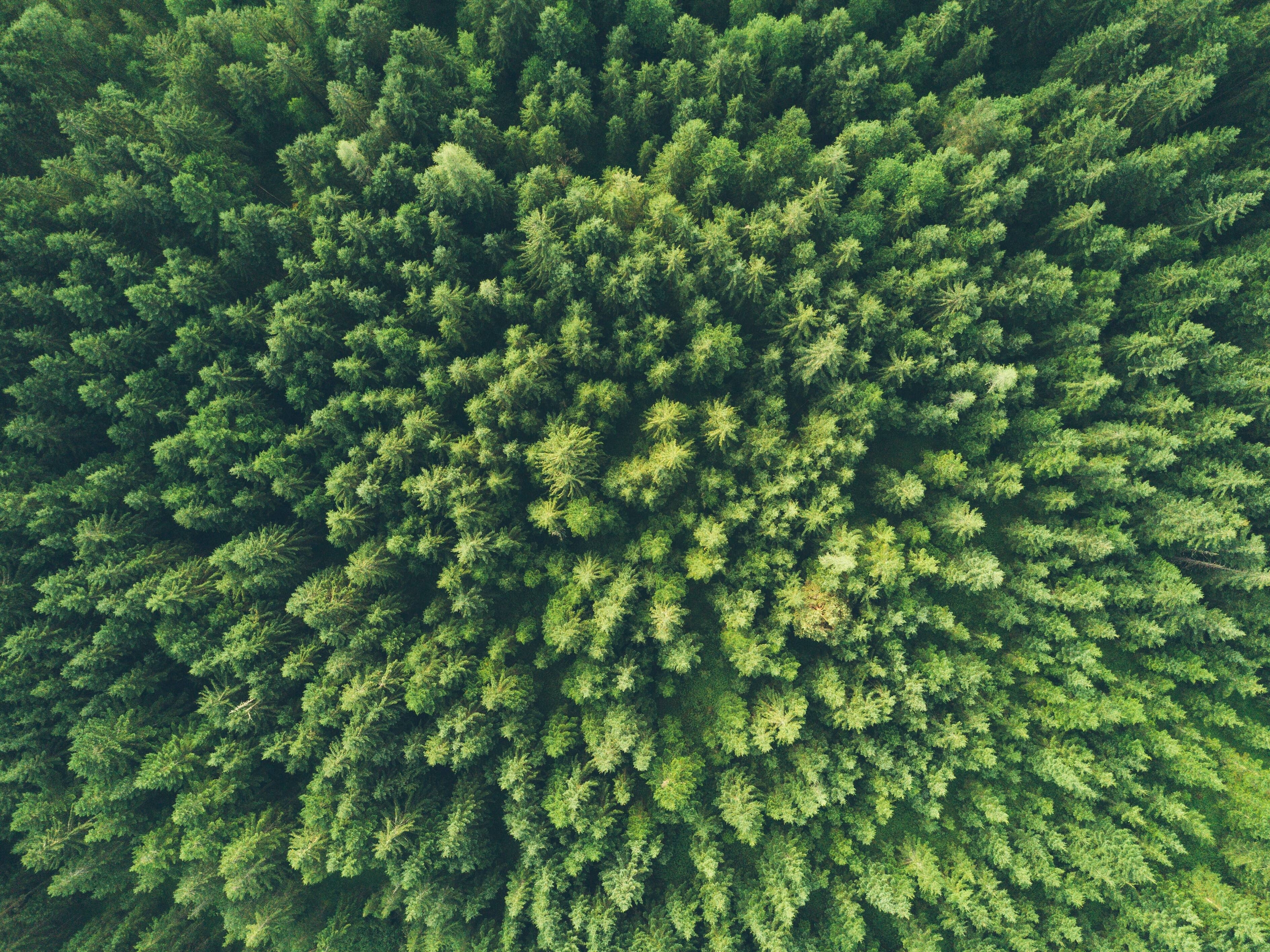 Immagine: john-o-nolan-uMWPrcRsrto-unsplash