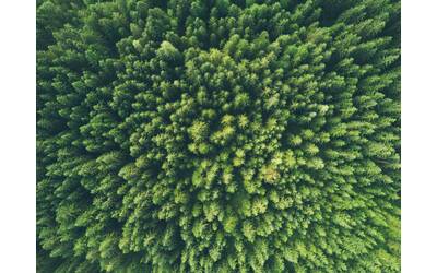 Immagine: john-o-nolan-uMWPrcRsrto-unsplash