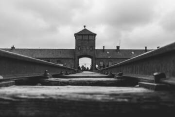 Immagine: karsten-winegeart-JioCsloIYro-unsplash