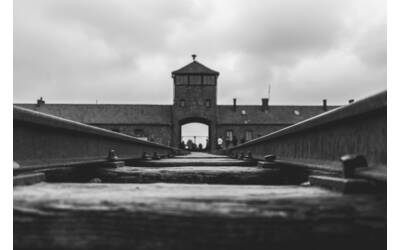 Immagine: karsten-winegeart-JioCsloIYro-unsplash