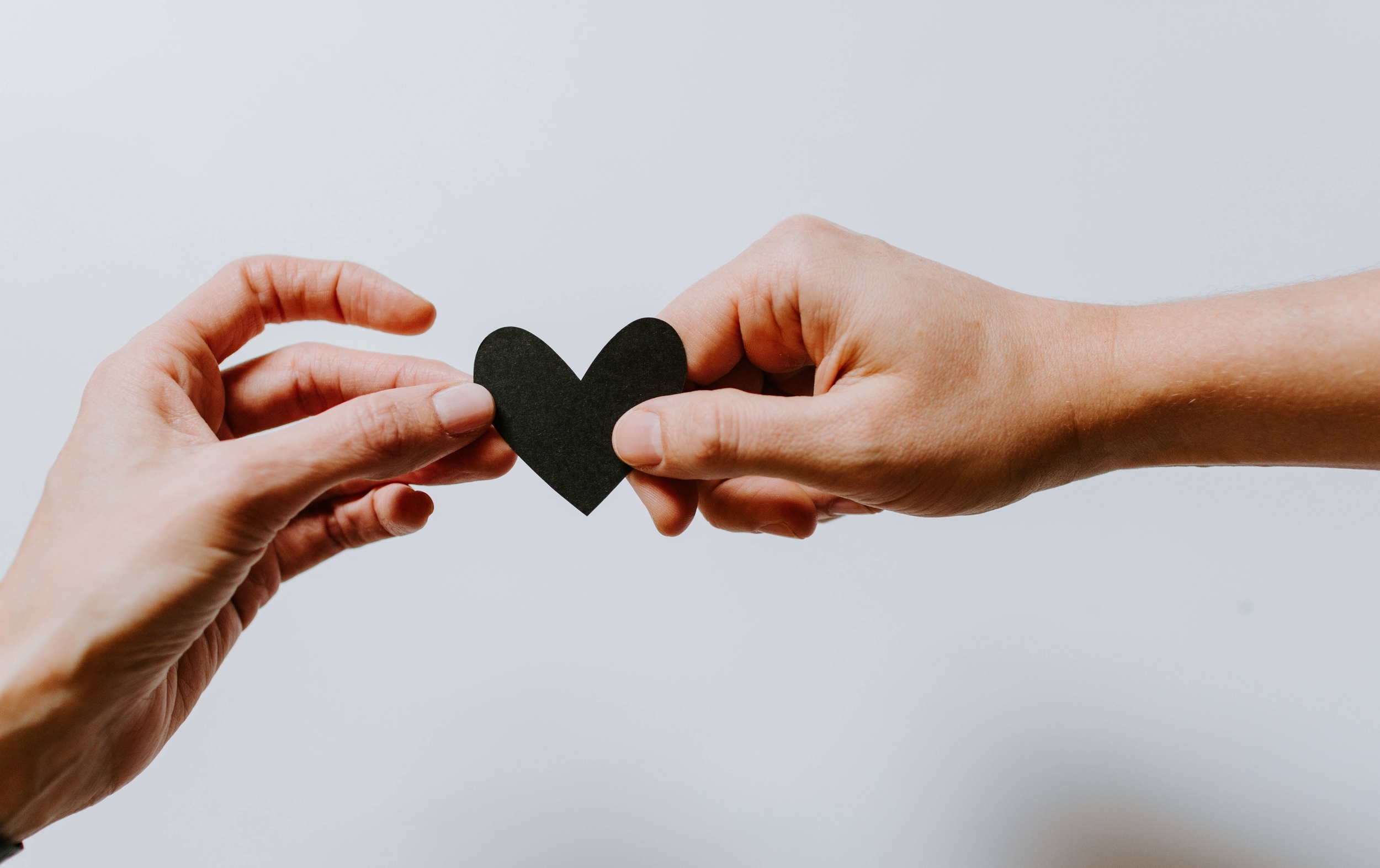 Immagine: kelly-sikkema-4le7k9XVYjE-unsplash