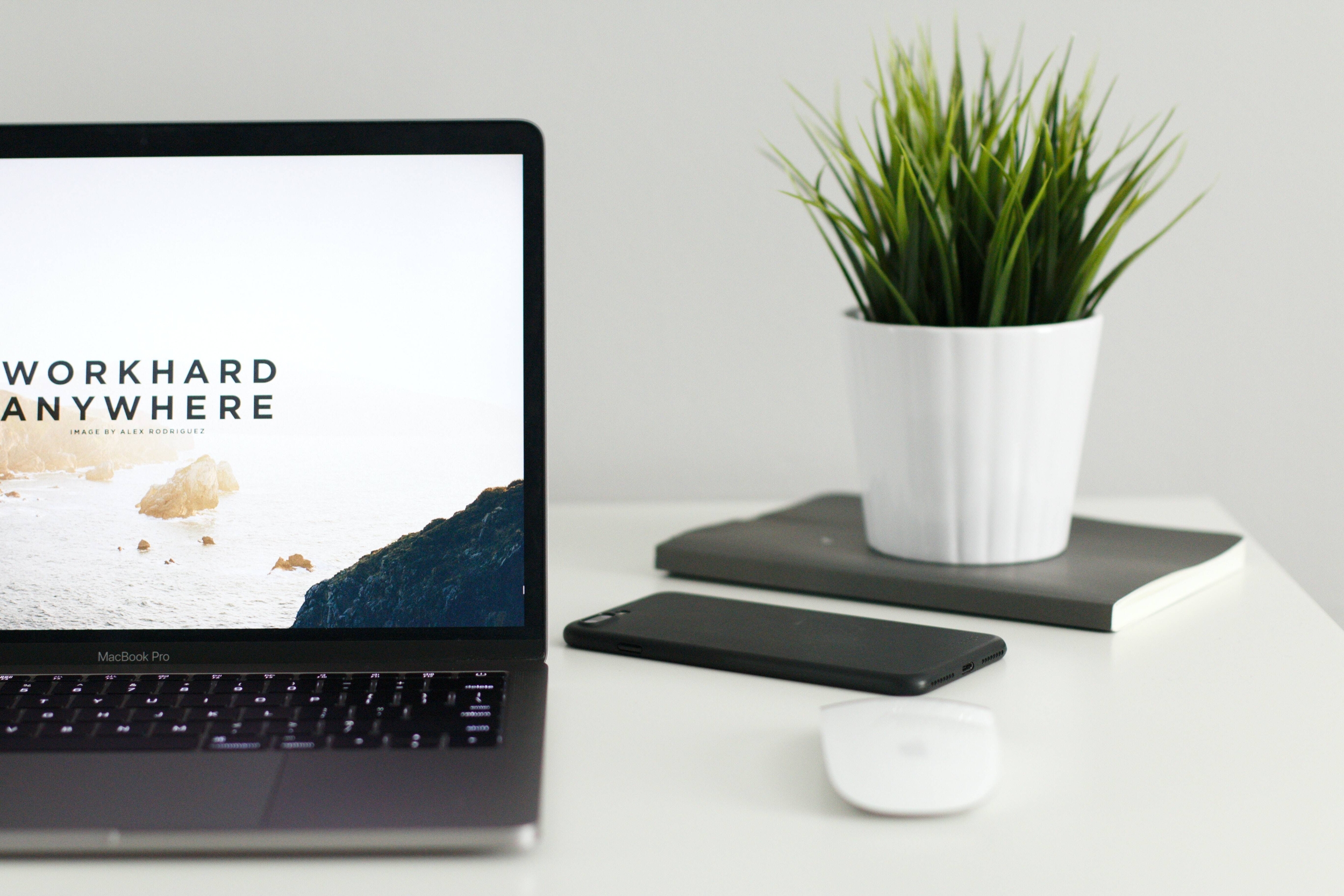 Immagine: kevin-bhagat-zNRITe8NPqY-unsplash