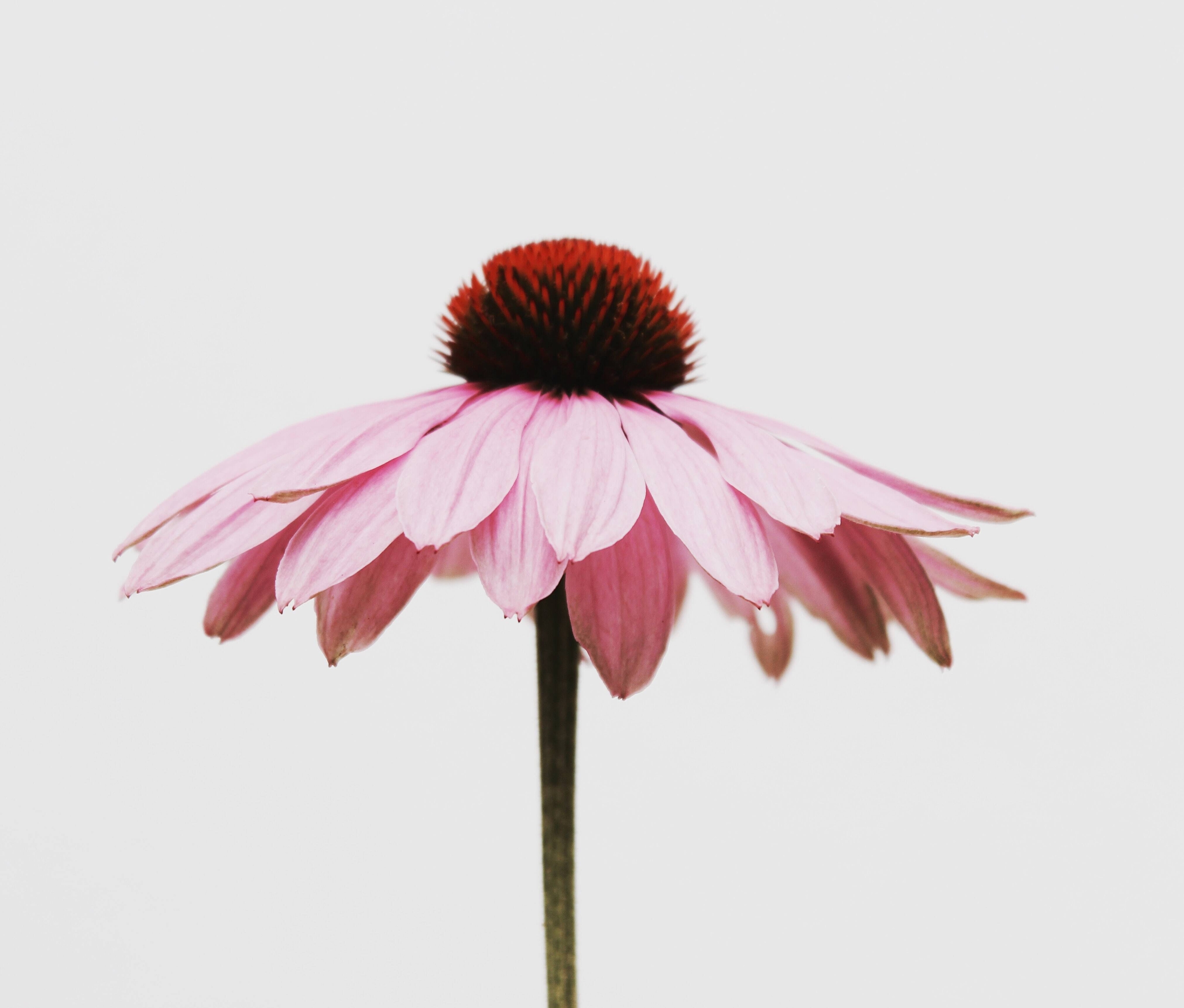 Immagine: kiki-siepel-BEwxLSN_bKU-unsplash