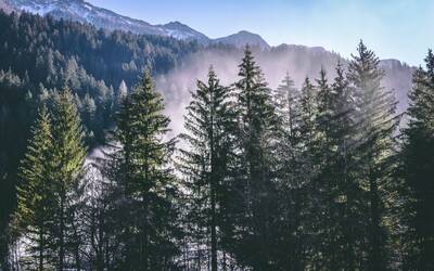 Immagine: konstantin-pudan-kj3ZJqz_FsI-unsplash