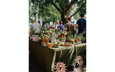 Immagine: kyle-nieber-eE-ffApg7oI-unsplash (1)