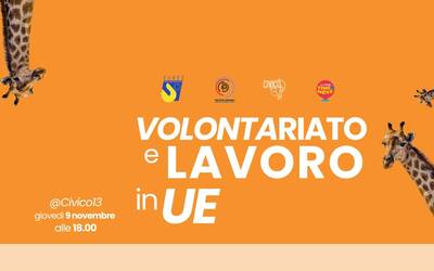 Immagine: layout notizie sito-2