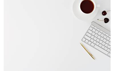 Immagine: leone-venter-VieM9BdZKFo-unsplash