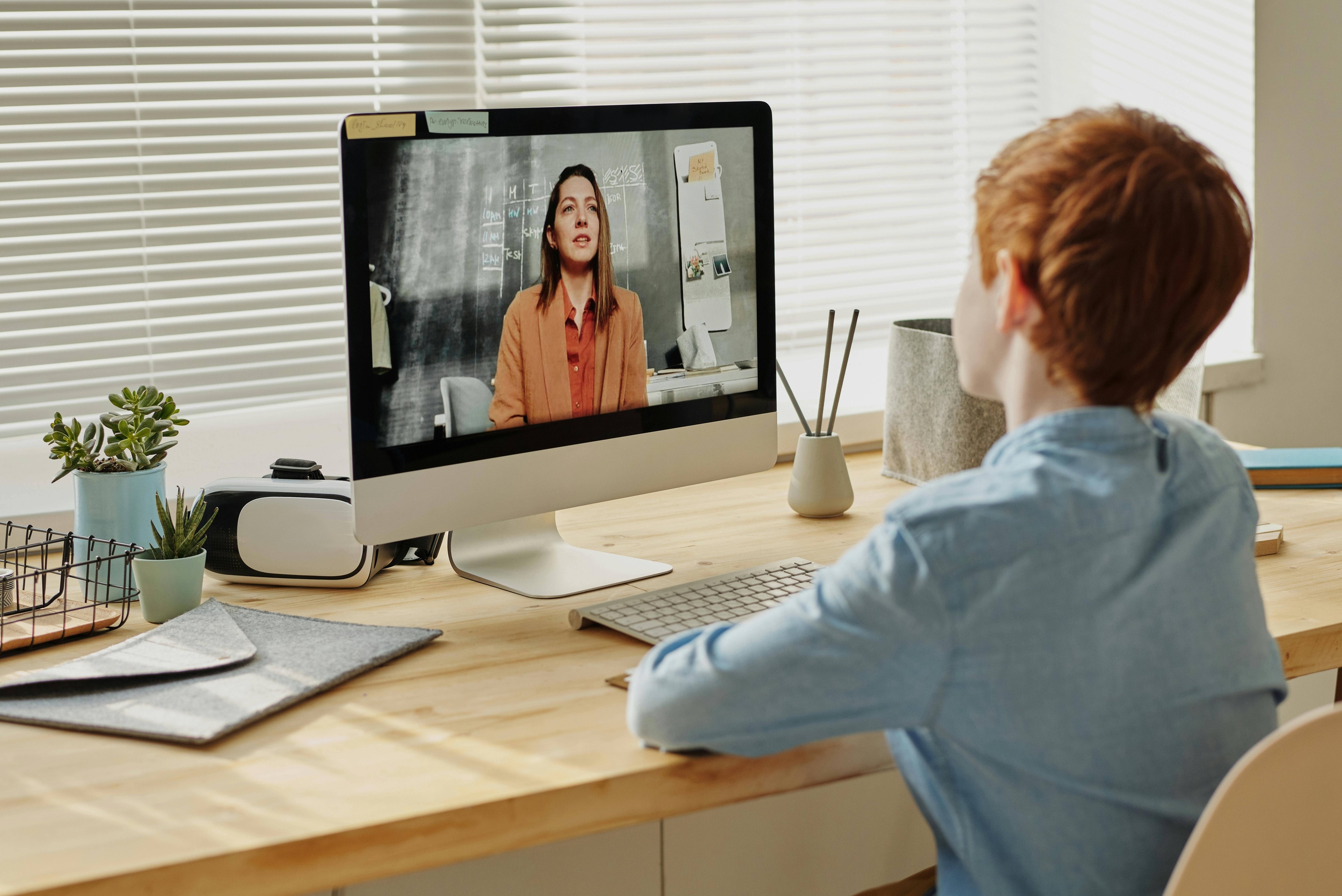 Immagine: Lezione online