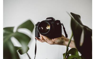 Immagine: lilly-rum-L6W9ZIQ5saM-unsplash