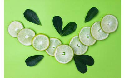 Immagine: limoniamo web (1)