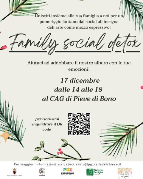 Family social detox 