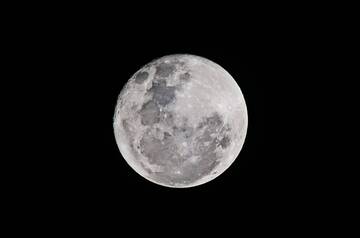 Immagine: Luna