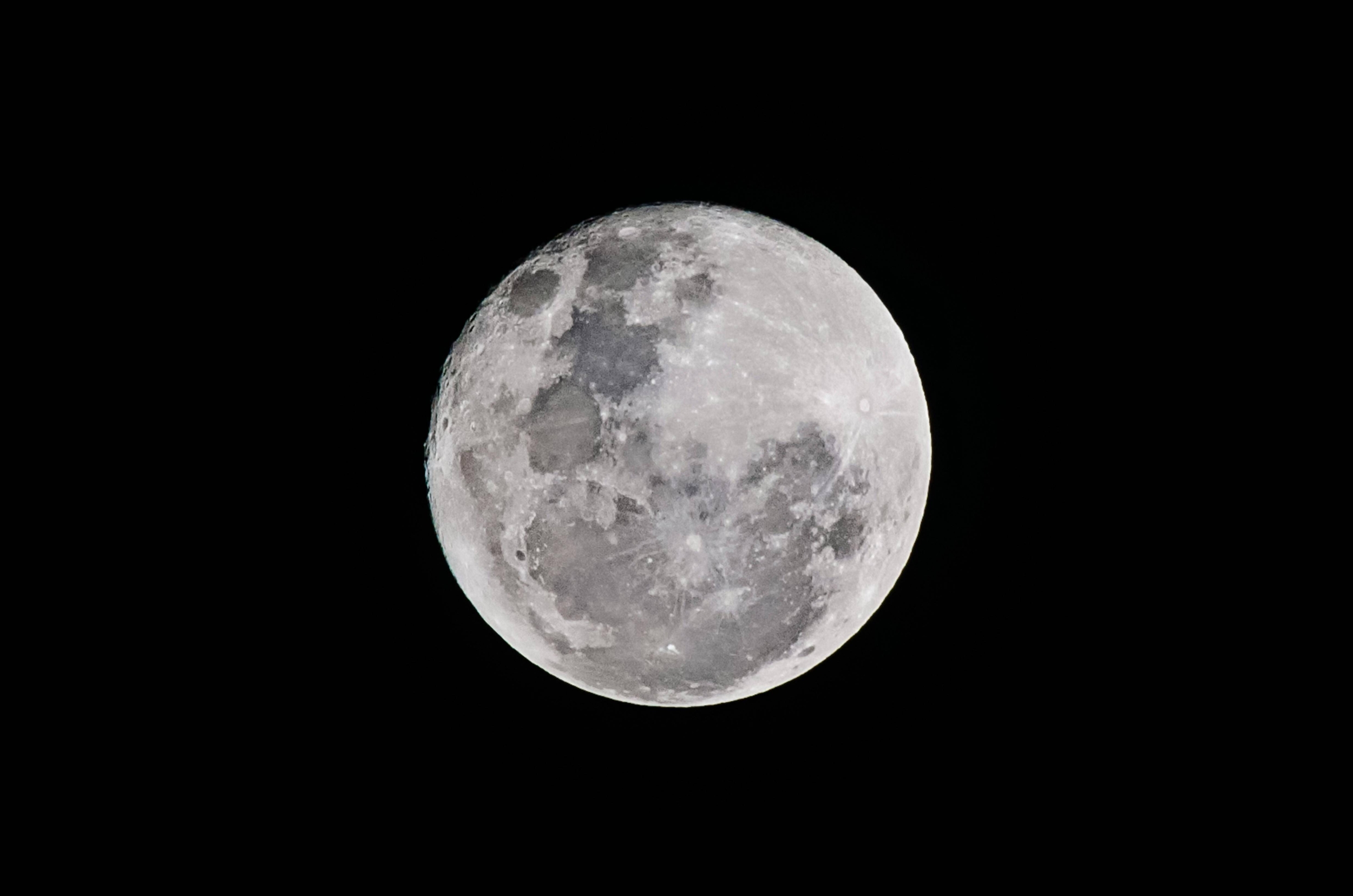 Immagine: Luna