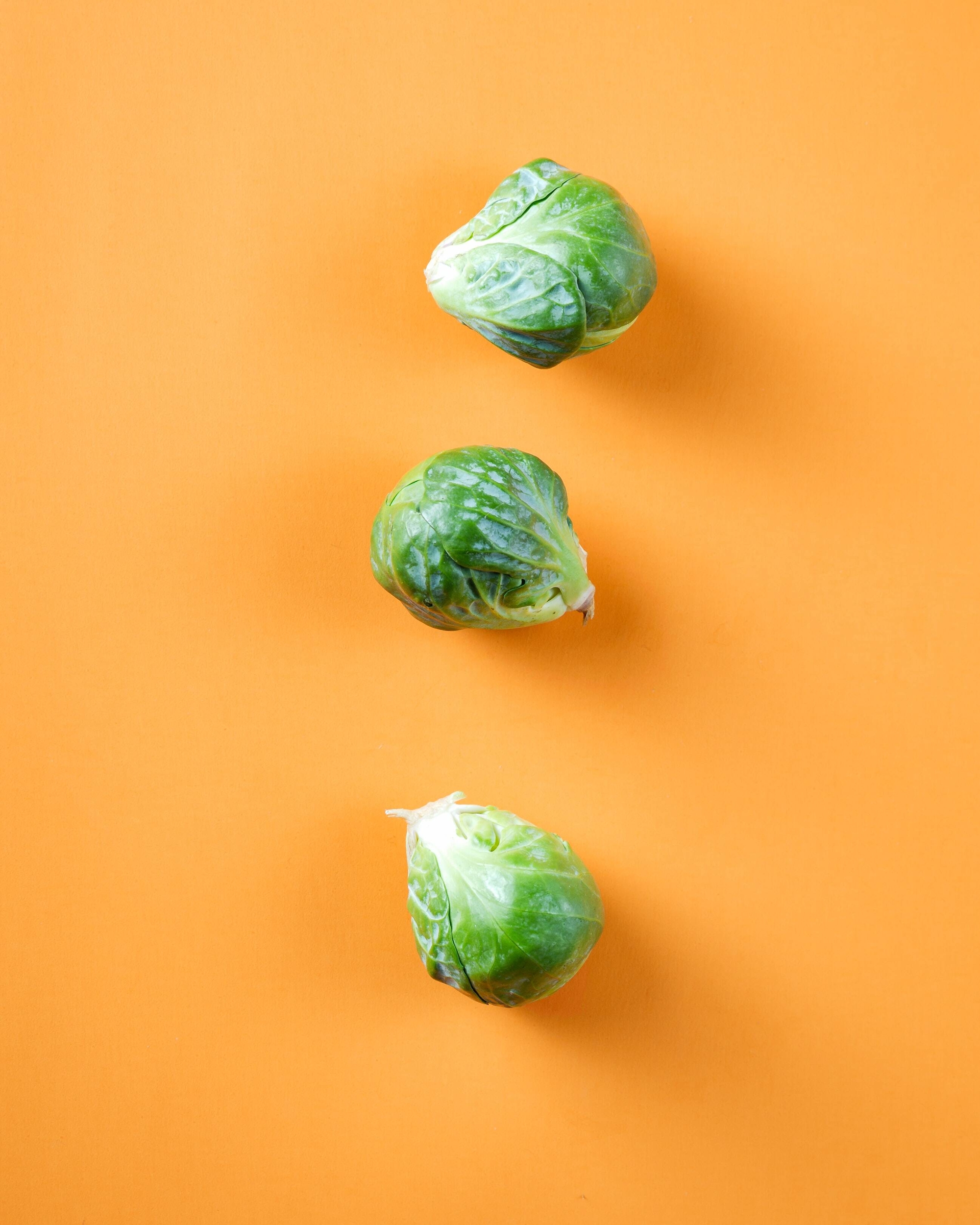 Immagine: mae-mu-g733A40xl3Q-unsplash