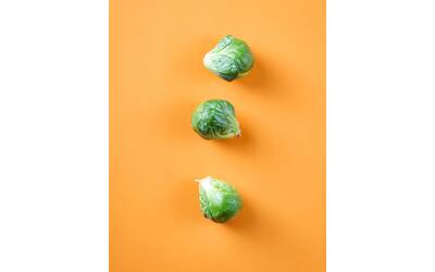 Immagine: mae-mu-g733A40xl3Q-unsplash