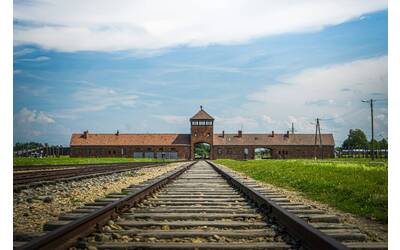 Immagine: malek-bee-V5tHS4aEXrg-unsplash