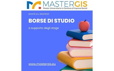 Immagine: MasterGIS Borse Di Studio Stage 22.23