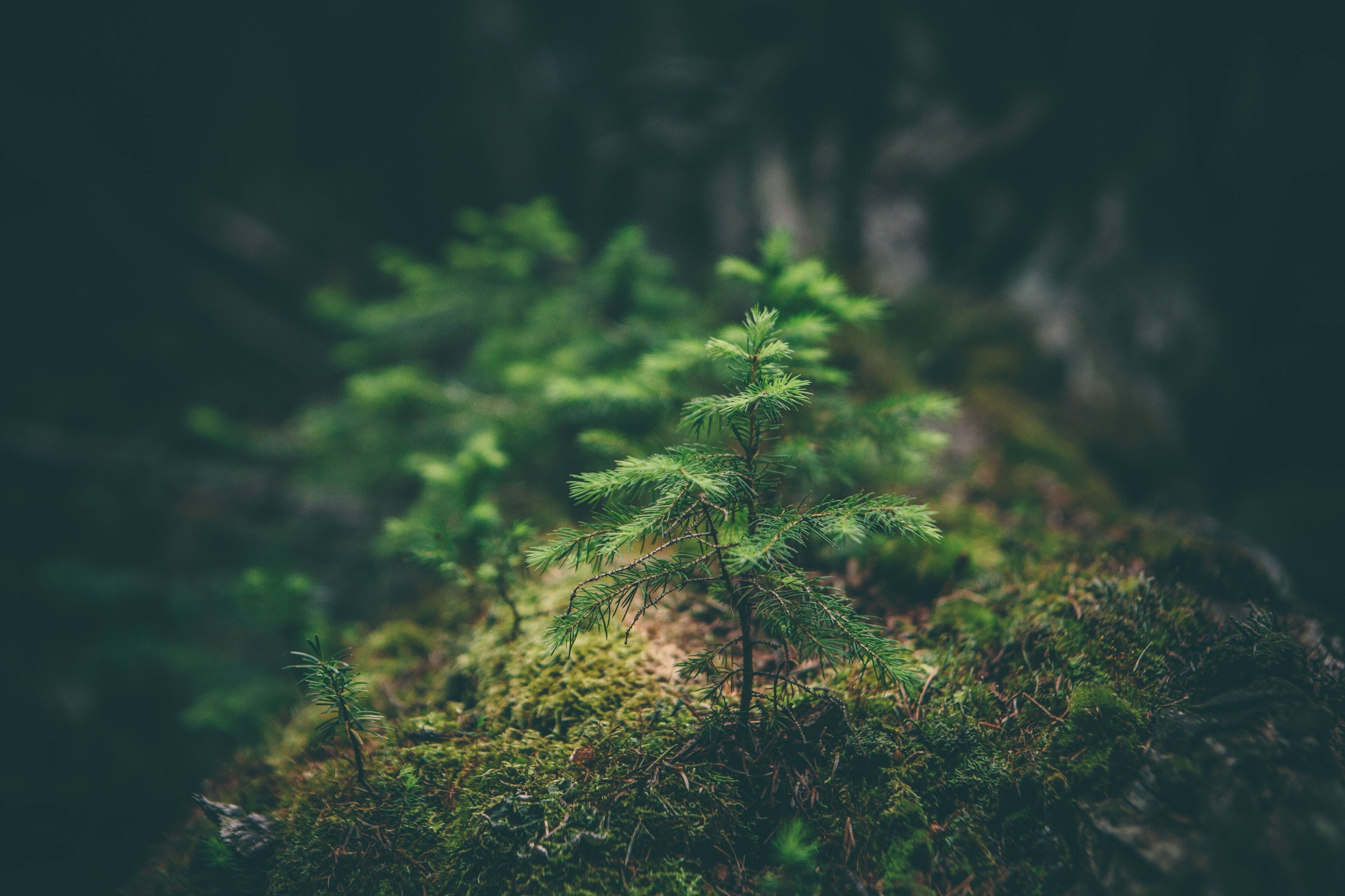 Immagine: matthew-smith-Rfflri94rs8-unsplash