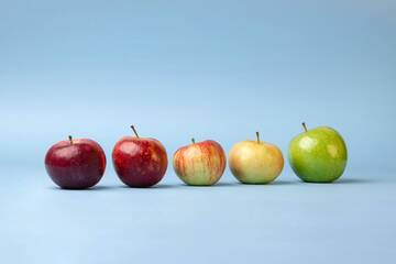 L'agenzia del lavoro cerca giovani per la raccolta della frutta