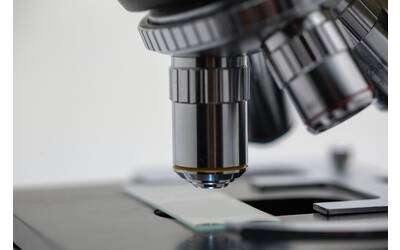 Immagine: michael-longmire-L9EV3OogLh0-unsplash