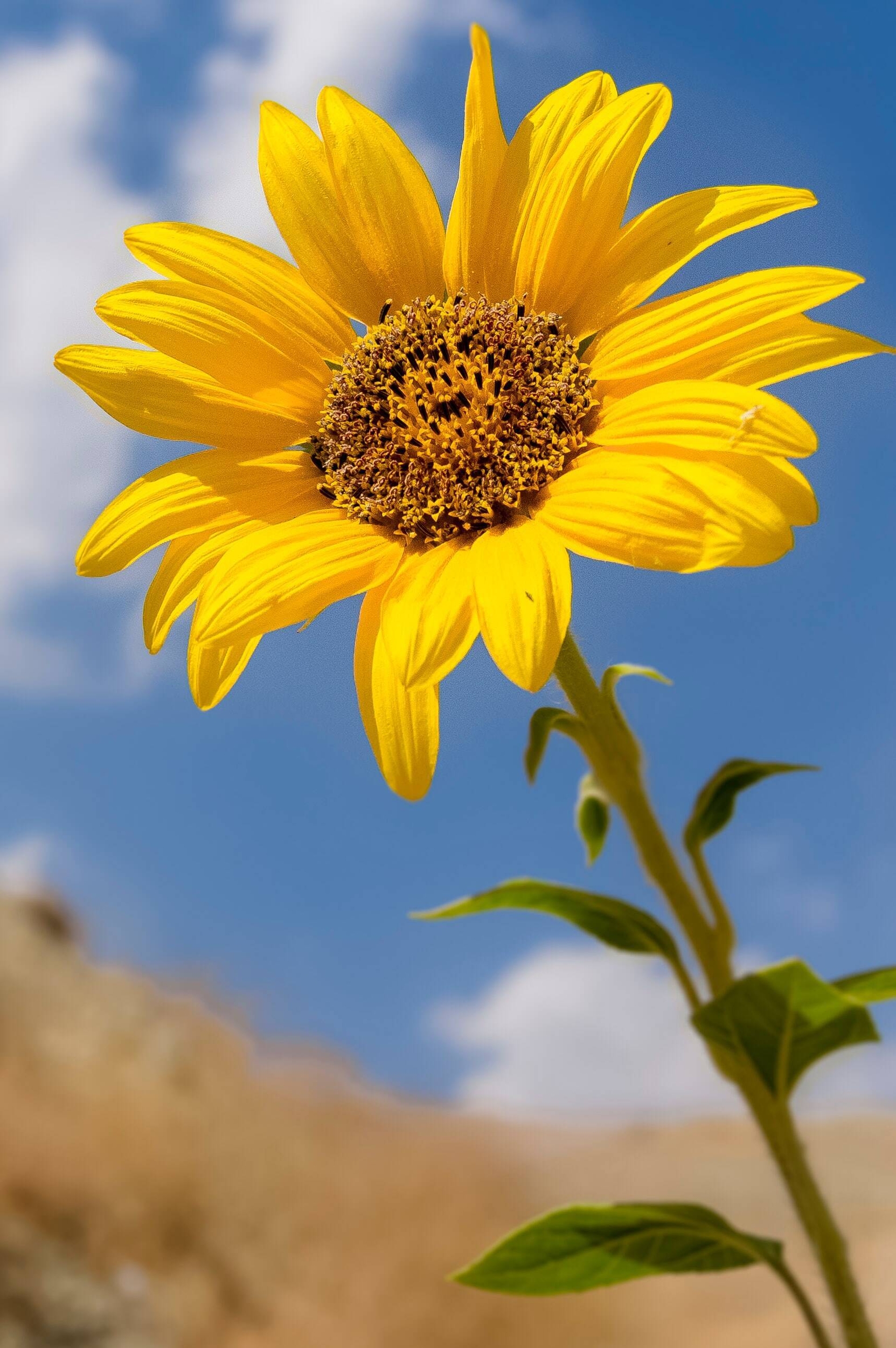 Immagine: mohsen-bagherzadeh-nm3ZgH0EdpM-unsplash