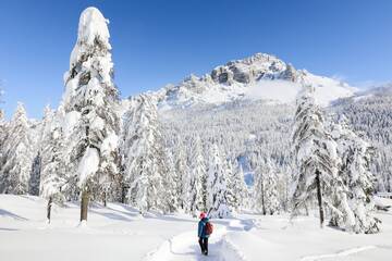 Il turismo trentino cerca te!